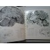 ATLAS DE VASCULARISATION ARTERIELLE DU CERVEAU CHEZ L'HOMME - ATLAS OF THE ARTERIES OF THE-HUMAN-BRAIN -  G. SALAMON (franceza si engleza)
